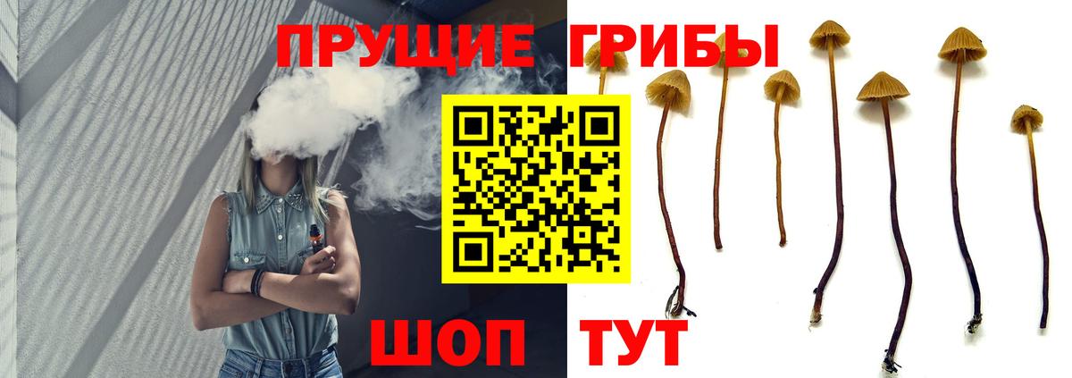 Галлюциногенные грибы GOLDEN TEACHER  Вход с VPN  Галлюциногенные грибы Psilocybe  Сургут 